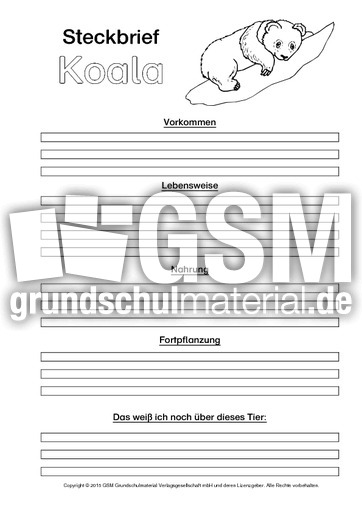 Koala-Steckbriefvorlage-sw.pdf